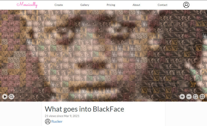 What goes into BlackFace (mozaic)